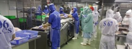 Пакеты для МГС